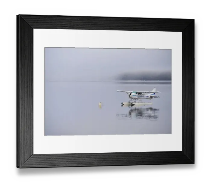 Framed Print : New Zealand, South Island, Fiordland National Park