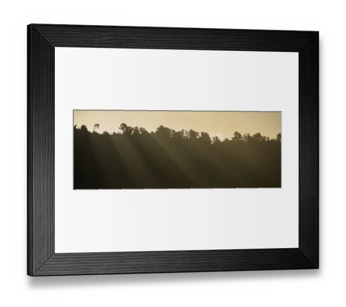 Framed Print : New Zealand, Westland, Westland National Park Framed Print : New Zealand, Westland, Westland National Park