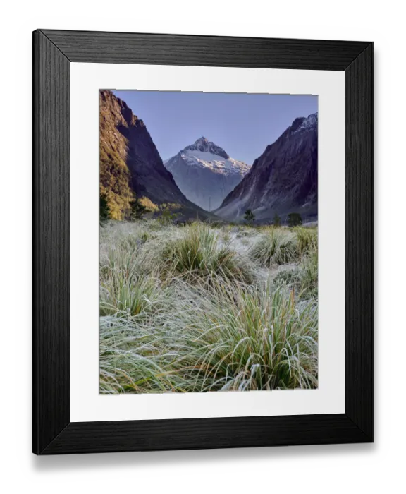 Framed Print : New Zealand, Southland, Fiordland National Park Framed Print : New Zealand, Southland, Fiordland National Park