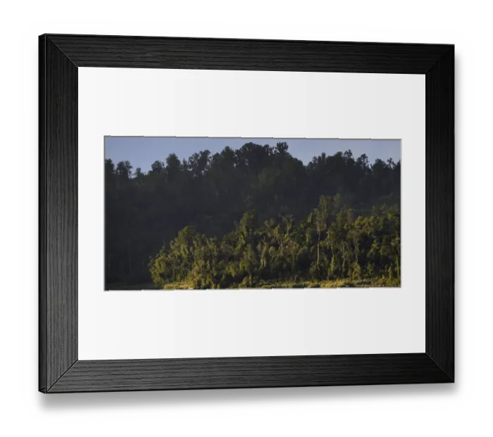 Framed Print : New Zealand, Westland, Westland National Park Framed Print : New Zealand, Westland, Westland National Park
