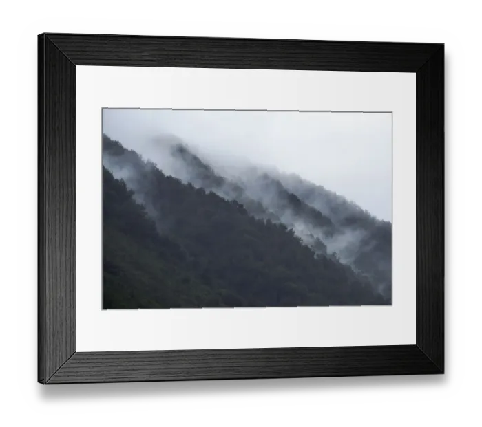 Framed Print : New Zealand, Westland, Westland National Park