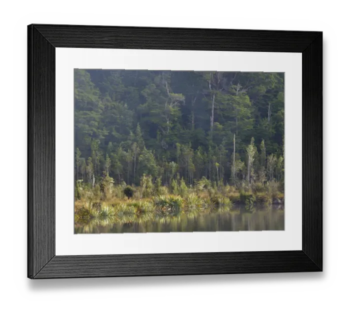 Framed Print : New Zealand, South Island, Fiordland National Park Framed Print : New Zealand, South Island, Fiordland National Park