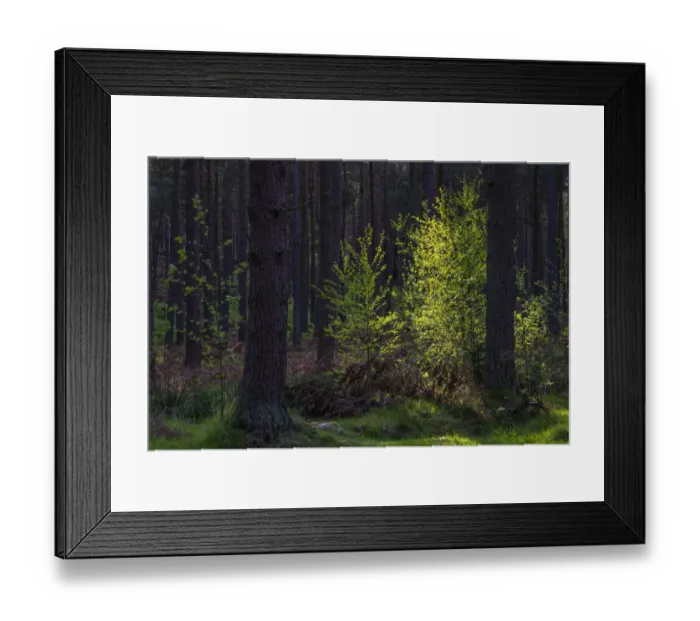 Framed Print : England, Northumberland, Northumberland National Park Framed Print : England, Northumberland, Northumberland National Park