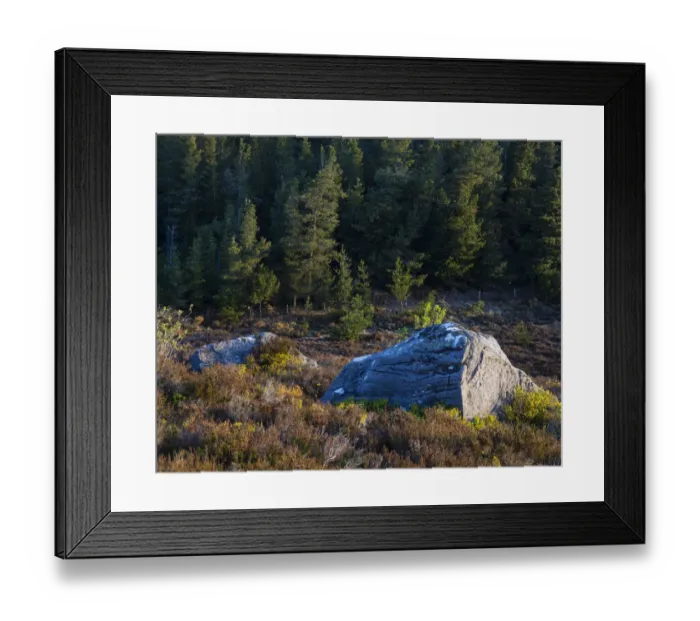 Framed Print : England, Northumberland, Northumberland National Park