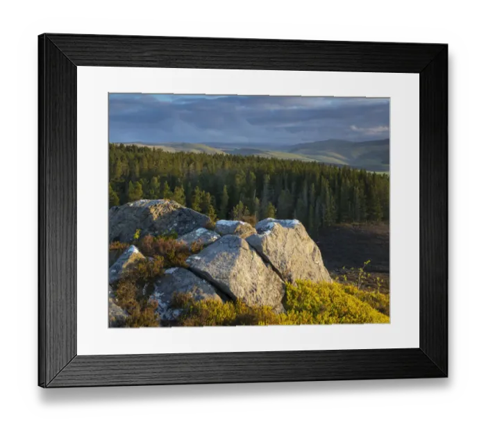 Framed Print : England, Northumberland, Northumberland National Park Framed Print : England, Northumberland, Northumberland National Park