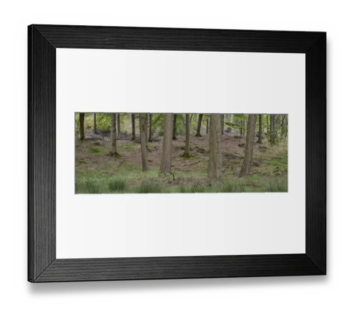 Framed Print : England, Cumbria, Lake District National Park