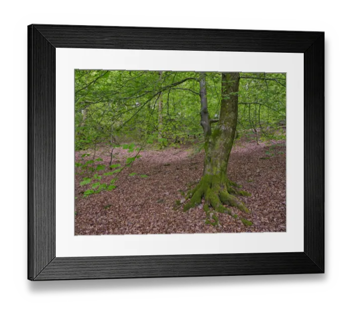 Framed Print : England, Cumbria, Lake District National Park