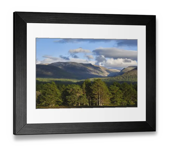 Framed Print : Scotland, Scottish Highlands, Cairngorms National Park