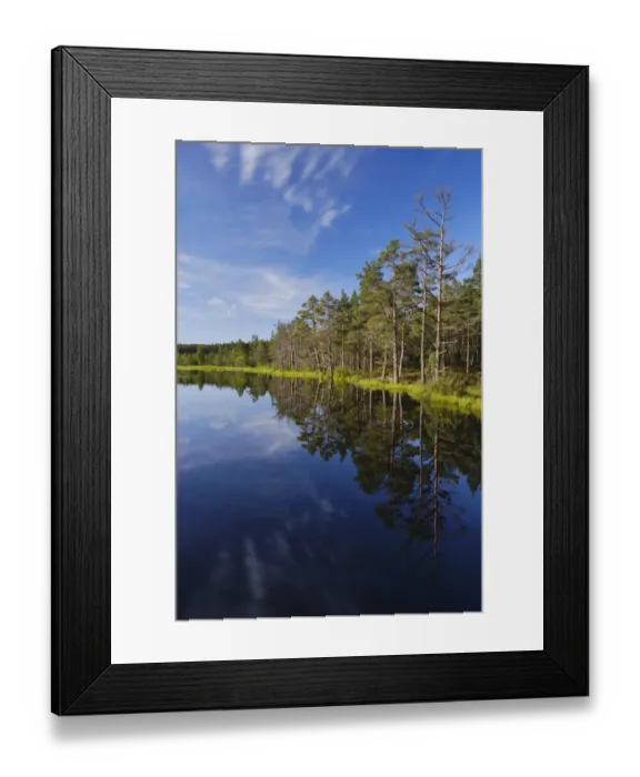 Framed Print : Scotland, Scottish Highlands, Cairngorms National Park