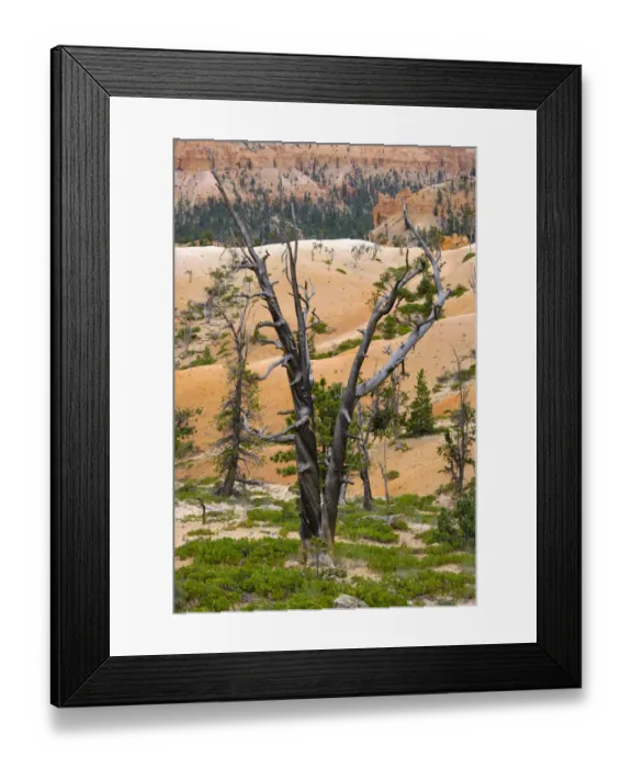 Framed Print : United States of America, Utah, Bryce Canyon National Park Framed Print : United States of America, Utah, Bryce Canyon National Park