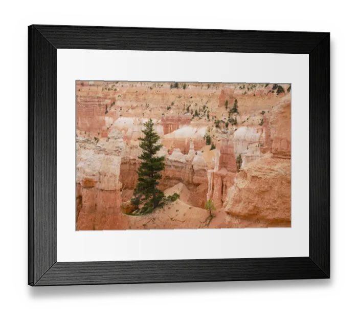 Framed Print : United States of America, Utah, Bryce Canyon National Park Framed Print : United States of America, Utah, Bryce Canyon National Park