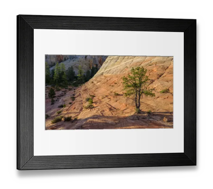 Framed Print : United States of America, Utah, Zion National Park