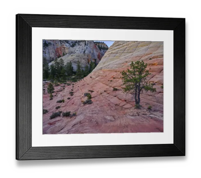 Framed Print : United States of America, Utah, Zion National Park