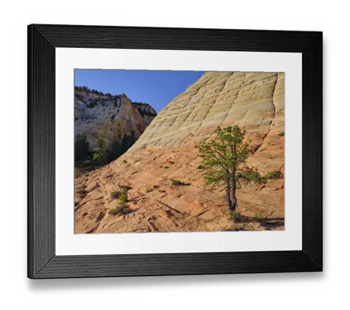 Framed Print : United States of America, Utah, Zion National Park