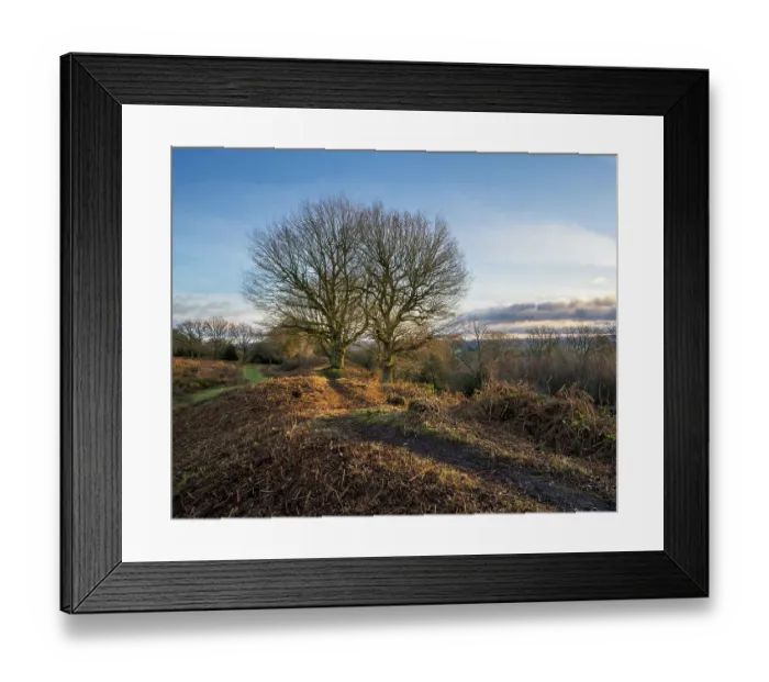 Framed Print : England, West Midlands, Kinver Edge