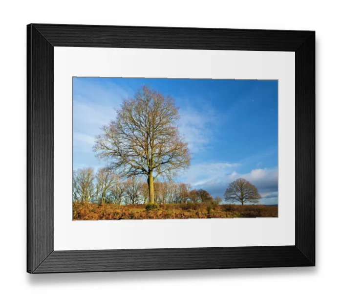 Framed Print : England, West Midlands, Kinver Edge Framed Print : England, West Midlands, Kinver Edge