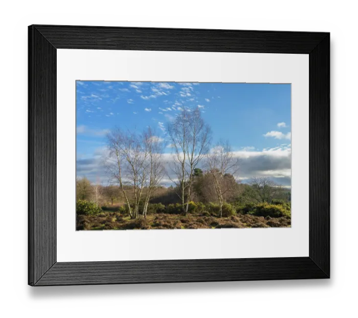 Framed Print : England, West Midlands, Kinver Edge