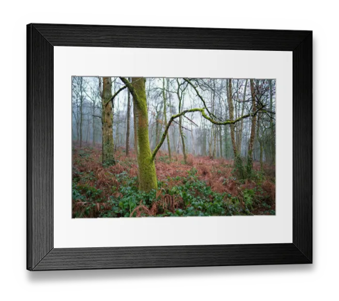 Framed Print : England, West Midlands, Kinver Edge