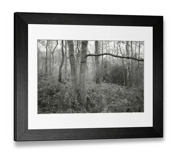 Framed Print : England, West Midlands, Kinver Edge