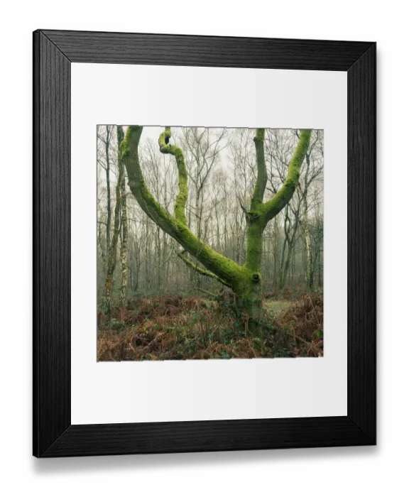 Framed Print : England, West Midlands, Kinver Edge Framed Print : England, West Midlands, Kinver Edge