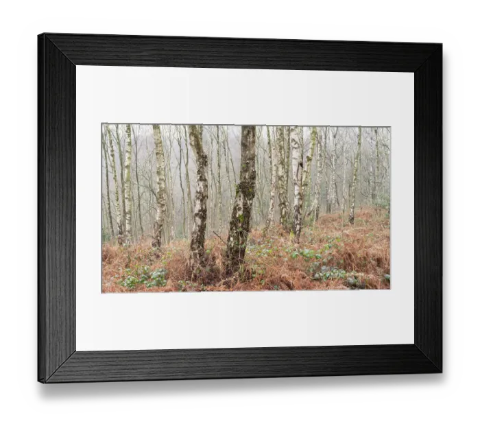Framed Print : England, West Midlands, Kinver Edge Framed Print : England, West Midlands, Kinver Edge