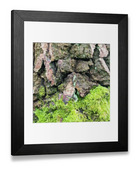 Framed Print : England, West Midlands, Kinver Edge Framed Print : England, West Midlands, Kinver Edge