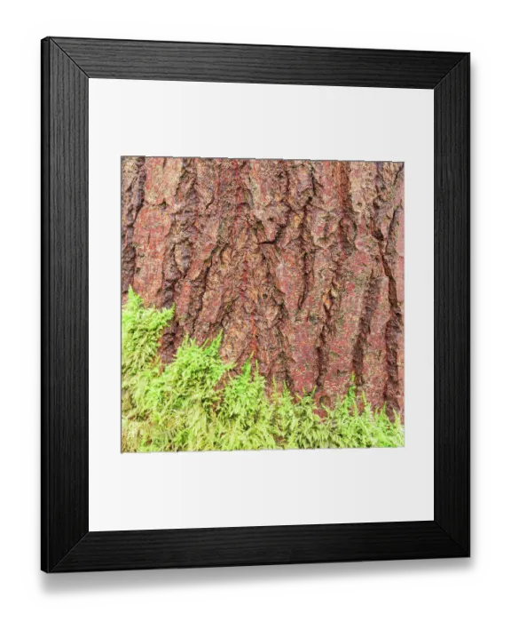 Framed Print : England, West Midlands, Kinver Edge Framed Print : England, West Midlands, Kinver Edge