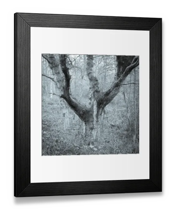 Framed Print : England, West Midlands, Kinver Edge Framed Print : England, West Midlands, Kinver Edge