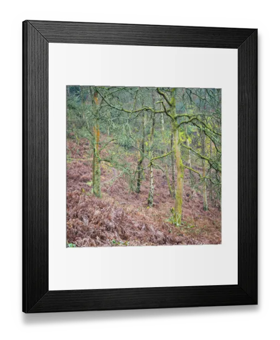 Framed Print : England, West Midlands, Kinver Edge