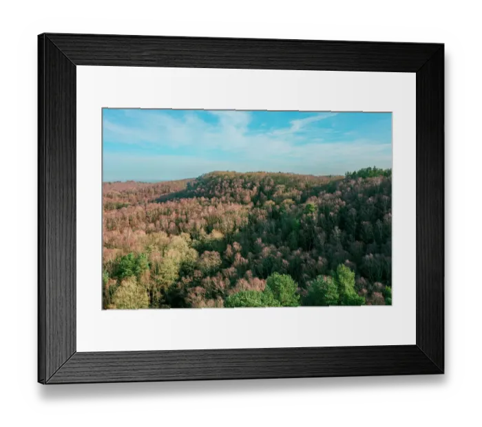 Framed Print : England, West Midlands, Kinver Edge Framed Print : England, West Midlands, Kinver Edge