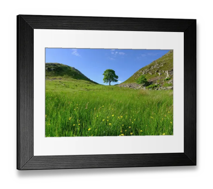 Framed Print : England, Northumberland, Sycamore Gap, Northumberland National Park