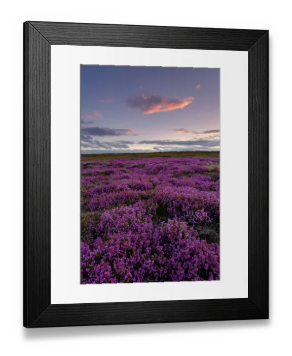 Framed Print : England, North Yorkshire, North York Moors National Park Framed Print : England, North Yorkshire, North York Moors National Park
