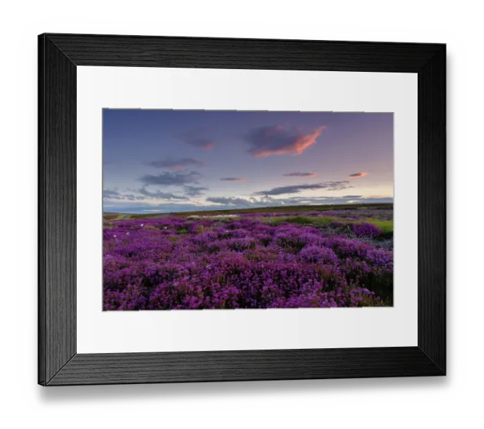 Framed Print : England, North Yorkshire, North York Moors National Park