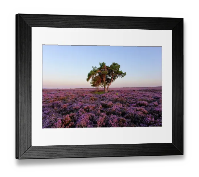 Framed Print : England, North Yorkshire, North York Moors National Park