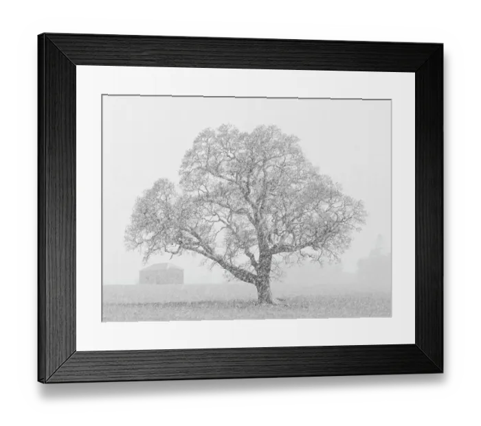 Framed Print : England, County Durham, Barnard Castle Framed Print : England, County Durham, Barnard Castle