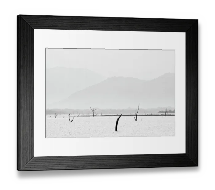 Framed Print : Sri Lanka, Ratnapura District, Udawalawa National Park Framed Print : Sri Lanka, Ratnapura District, Udawalawa National Park