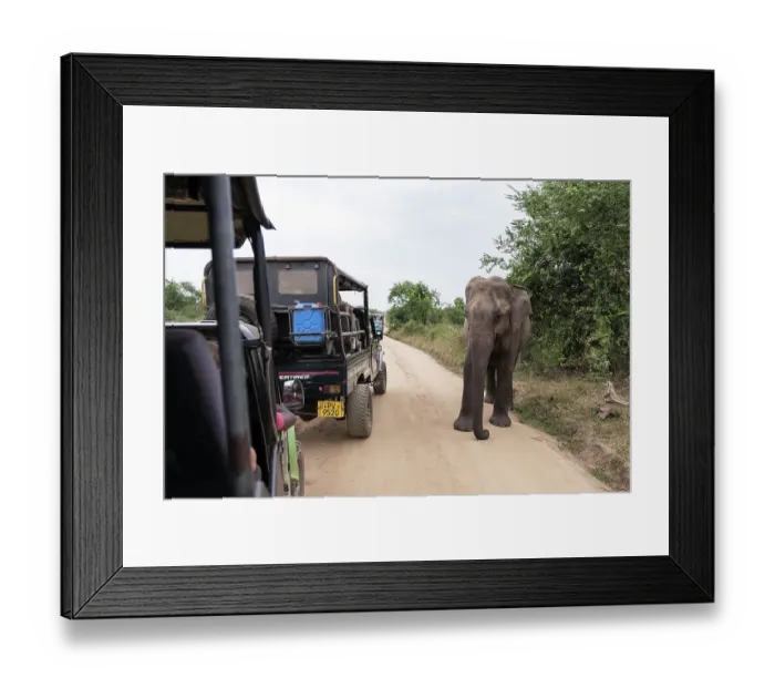 Framed Print : Sri Lanka, Ratnapura District, Udawalawa National Park Framed Print : Sri Lanka, Ratnapura District, Udawalawa National Park