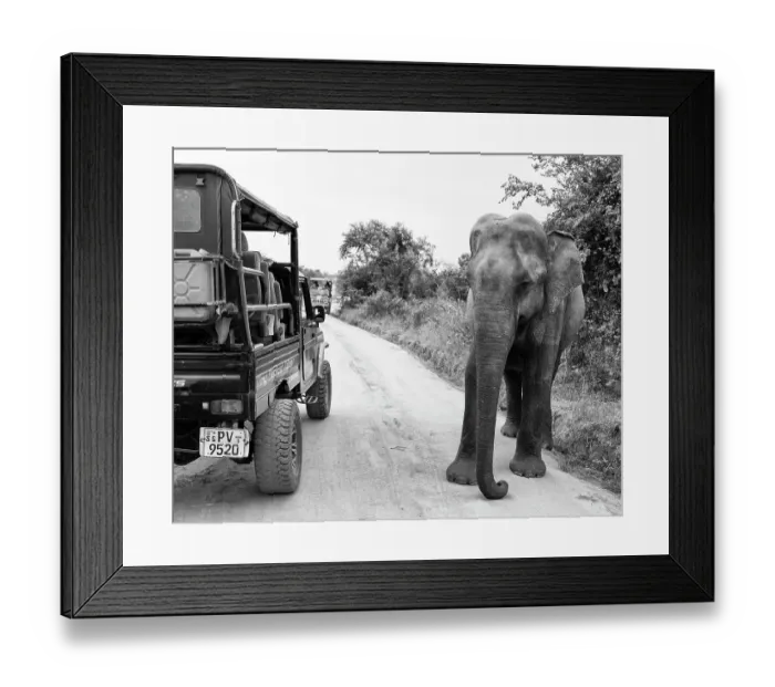 Framed Print : Sri Lanka, Ratnapura District, Udawalawa National Park Framed Print : Sri Lanka, Ratnapura District, Udawalawa National Park