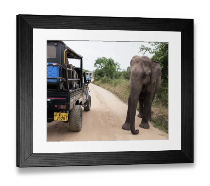 Framed Print : Sri Lanka, Ratnapura District, Udawalawa National Park