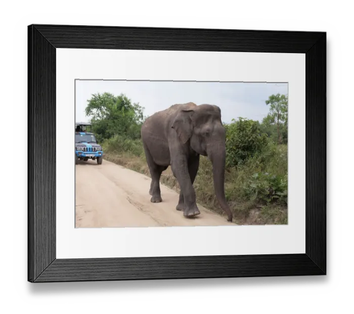 Framed Print : Sri Lanka, Ratnapura District, Udawalawa National Park