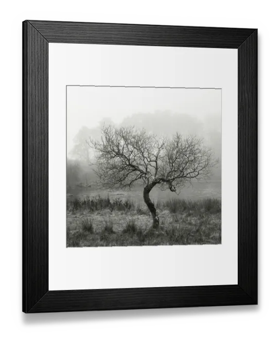 Framed Print : England, Northumberland National Park, Hadrian's Wall Framed Print : England, Northumberland National Park, Hadrian's Wall