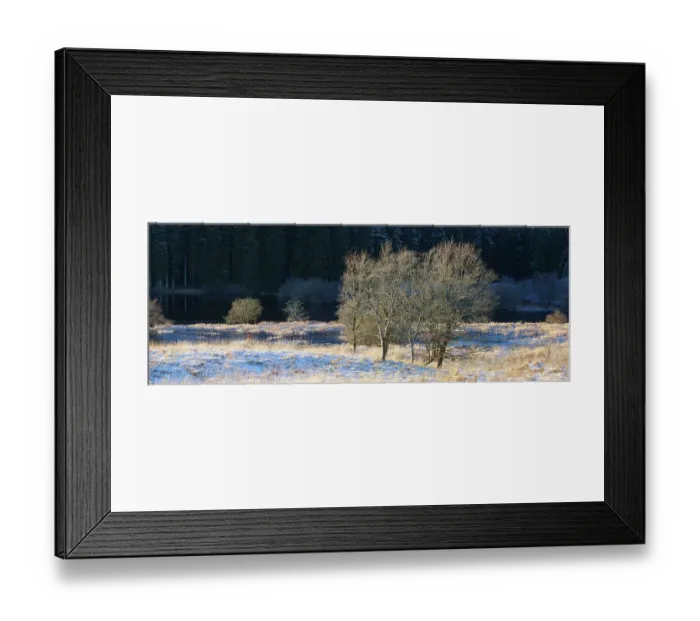 Framed Print : England, Northumberland, Kielder Water & Forest Park