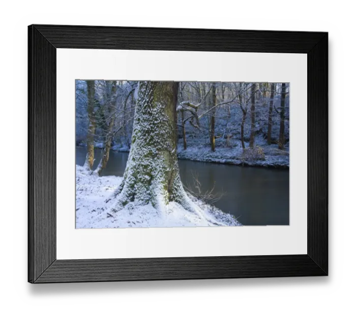 Framed Print : England, Northumberland, Plessey Woods Country Park. A recent snowfall transforms the woodland of the Plessey Woods Framed Print : England, Northumberland, Plessey Woods Country Park. A recent snowfall transforms the woodland of the Plessey Woods