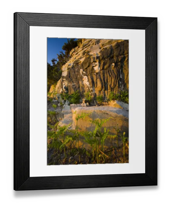 Framed Print : England, Northumberland, Kyloe Hills. Native ferns below an impressive Sandstone ridge formation found on Framed Print : England, Northumberland, Kyloe Hills. Native ferns below an impressive Sandstone ridge formation found on