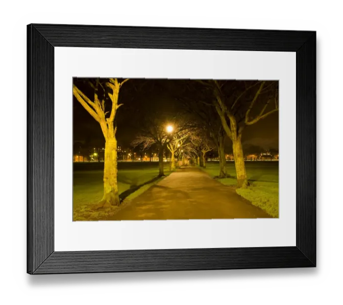 Framed Print : Scotland, Edinburgh, Edinburgh City. Public footpath running through an avenue of trees in the Meadows, a large expanse of open greenery found near the centre of