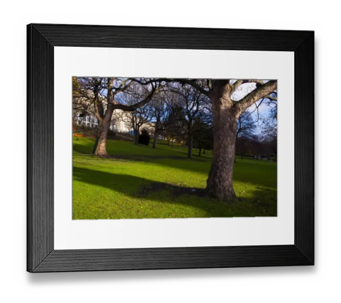 Framed Print : Scotland, Edinburgh, Princes Streeet Gardens. Trees and grass lawn in Princes Street Gardens Framed Print : Scotland, Edinburgh, Princes Streeet Gardens. Trees and grass lawn in Princes Street Gardens