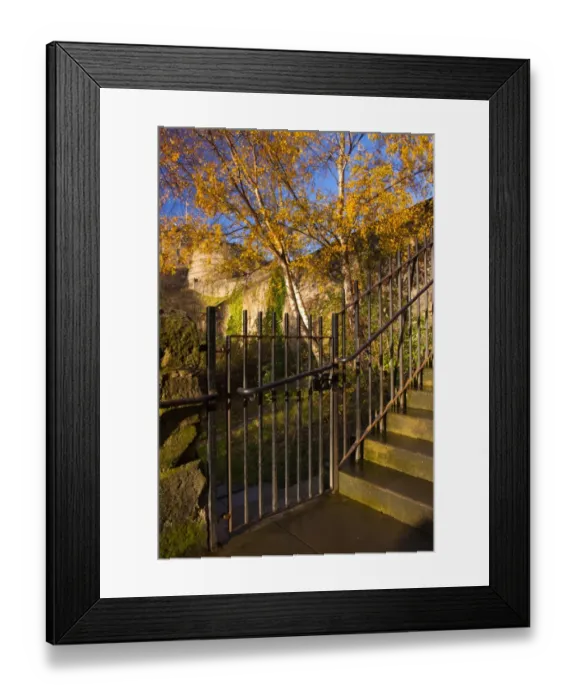 Framed Print : Scotland, Edinburgh, Johnston Terrace Wildlife Reserve. Johnston Terrace Wildlife Reserve