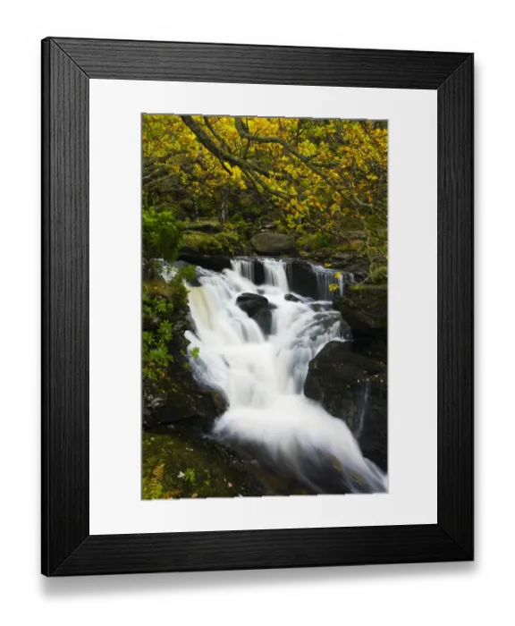 Framed Print : Scotland, Stirling, Loch Lomond and the Trossachs National Park. Arklet Falls Framed Print : Scotland, Stirling, Loch Lomond and the Trossachs National Park. Arklet Falls