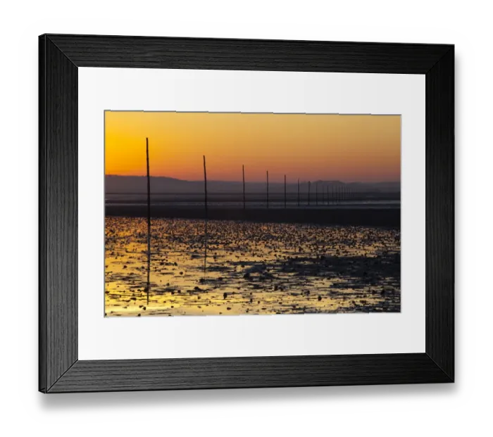 Framed Print : England, Northumberland, Northumberland Heritage Coast. The Pilgrims Causeway linking the Holy Island of Lindisfarne off the Northumberland Coast with