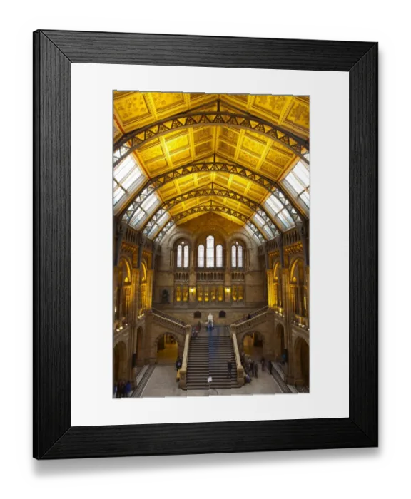 Framed Print : England, London, The Royal Borough of Kensington and Chelsea, Natural History Museum